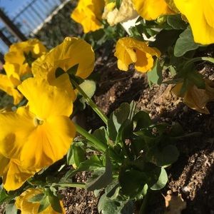 Meet your Posher, Skyler